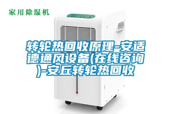轉(zhuǎn)輪熱回收原理-安適德通風設備(在線咨詢)-安丘轉(zhuǎn)輪熱回收