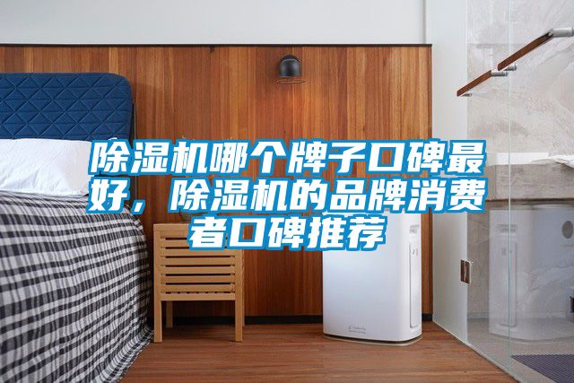 除濕機(jī)哪個(gè)牌子口碑最好，除濕機(jī)的品牌消費(fèi)者口碑推薦
