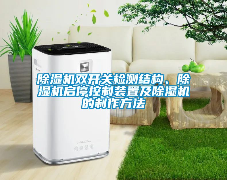 除濕機雙開關(guān)檢測結(jié)構(gòu)、除濕機啟停控制裝置及除濕機的制作方法