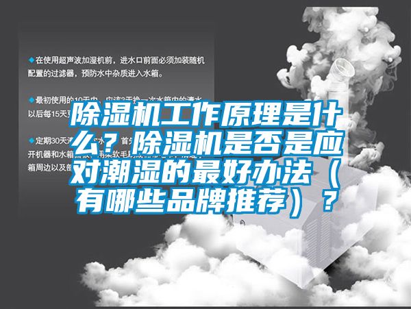 除濕機工作原理是什么？除濕機是否是應對潮濕的最好辦法（有哪些品牌推薦）？
