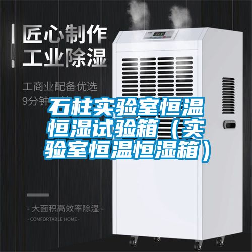 石柱實(shí)驗(yàn)室恒溫恒濕試驗(yàn)箱（實(shí)驗(yàn)室恒溫恒濕箱）