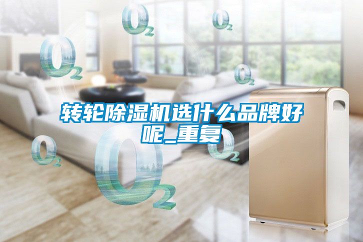 轉(zhuǎn)輪除濕機選什么品牌好呢_重復(fù)