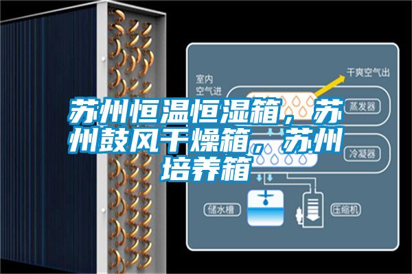 蘇州恒溫恒濕箱，蘇州鼓風(fēng)干燥箱，蘇州培養(yǎng)箱