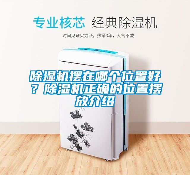 除濕機擺在哪個位置好？除濕機正確的位置擺放介紹