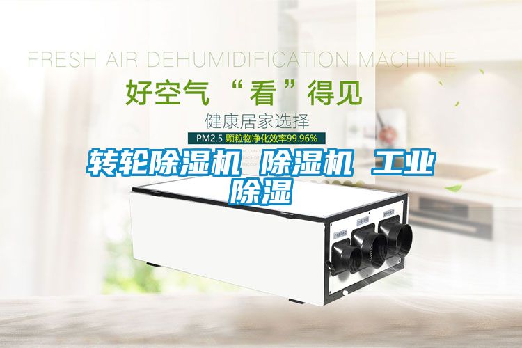 轉輪除濕機 除濕機 工業(yè)除濕