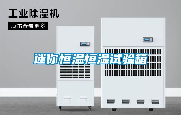 迷你恒溫恒濕試驗箱