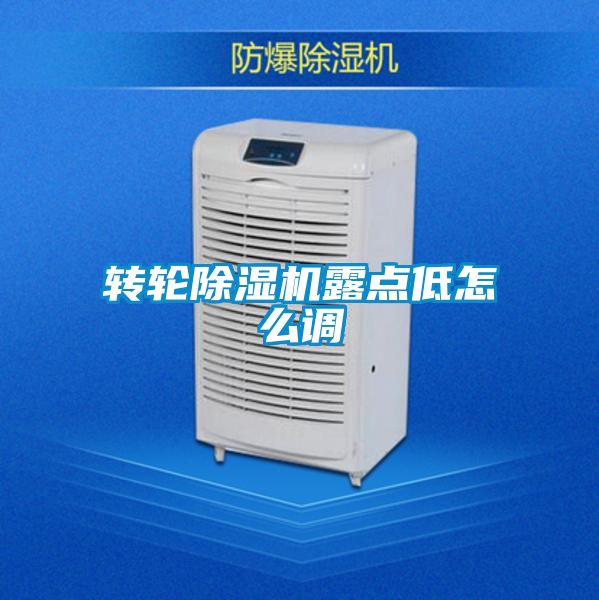 轉輪除濕機露點低怎么調