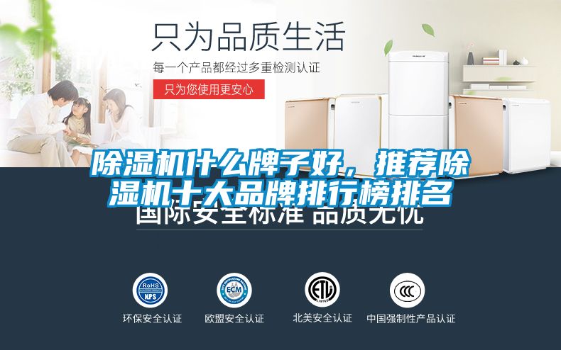 除濕機(jī)什么牌子好，推薦除濕機(jī)十大品牌排行榜排名