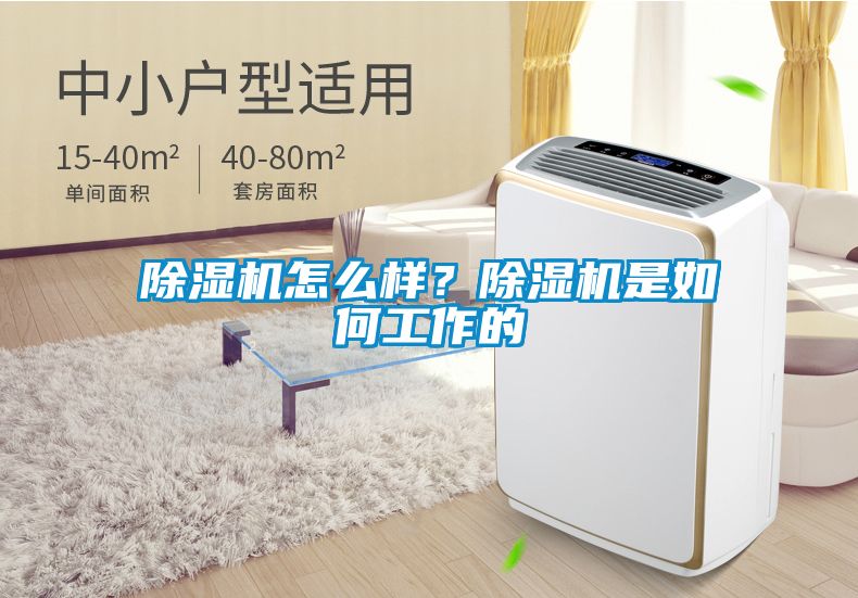 除濕機(jī)怎么樣？除濕機(jī)是如何工作的