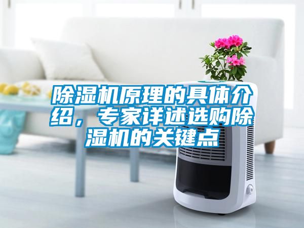 除濕機原理的具體介紹，專家詳述選購除濕機的關(guān)鍵點