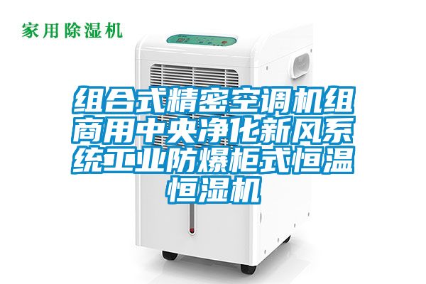 組合式精密空調(diào)機(jī)組商用中央凈化新風(fēng)系統(tǒng)工業(yè)防爆柜式恒溫恒濕機(jī)