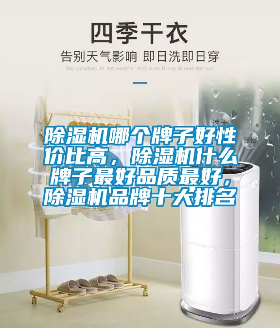 除濕機哪個牌子好性價比高，除濕機什么牌子最好品質(zhì)最好，除濕機品牌十大排名