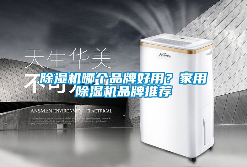 除濕機哪個品牌好用？家用除濕機品牌推薦