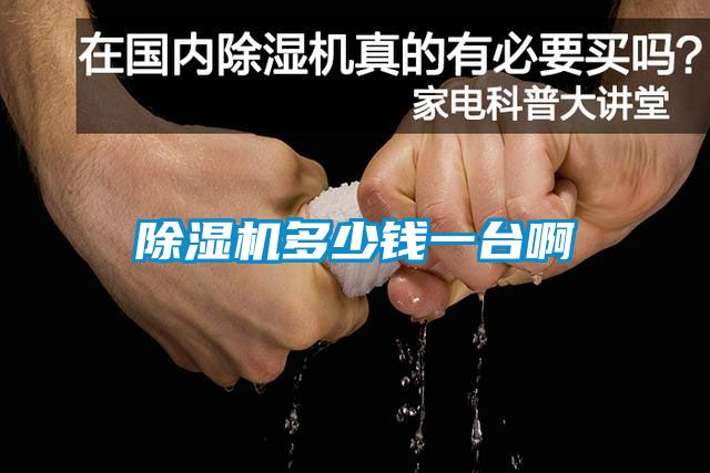 除濕機(jī)多少錢一臺(tái)啊