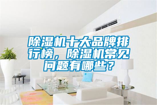 除濕機(jī)十大品牌排行榜，除濕機(jī)常見(jiàn)問(wèn)題有哪些？