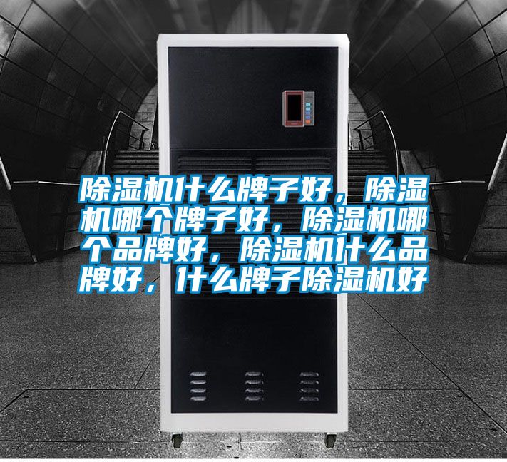 除濕機(jī)什么牌子好，除濕機(jī)哪個(gè)牌子好，除濕機(jī)哪個(gè)品牌好，除濕機(jī)什么品牌好，什么牌子除濕機(jī)好