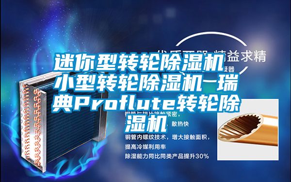 迷你型轉(zhuǎn)輪除濕機 小型轉(zhuǎn)輪除濕機 瑞典Proflute轉(zhuǎn)輪除濕機