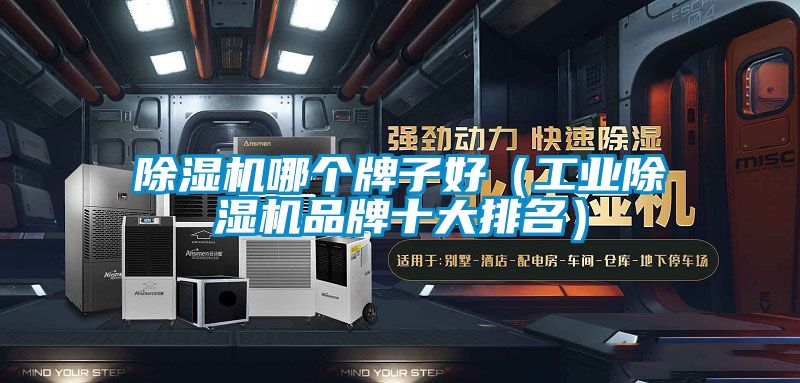 除濕機(jī)哪個(gè)牌子好（工業(yè)除濕機(jī)品牌十大排名）