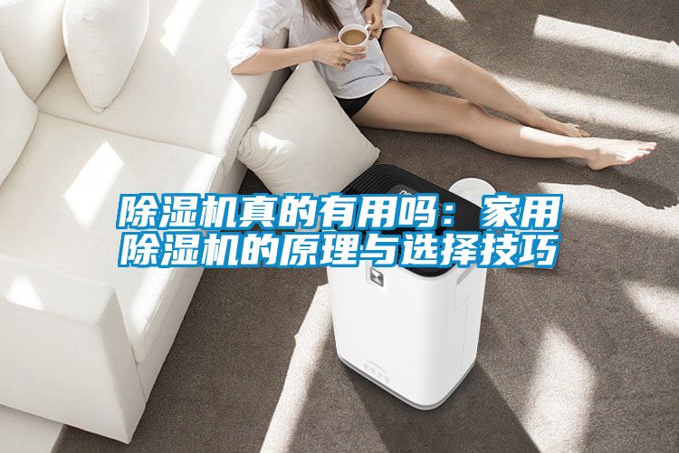 除濕機真的有用嗎：家用除濕機的原理與選擇技巧