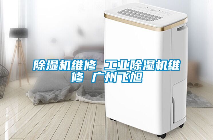 除濕機維修 工業(yè)除濕機維修 廣州飛旭