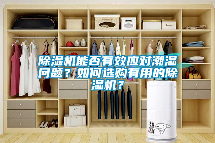 除濕機(jī)能否有效應(yīng)對(duì)潮濕問題？如何選購有用的除濕機(jī)？