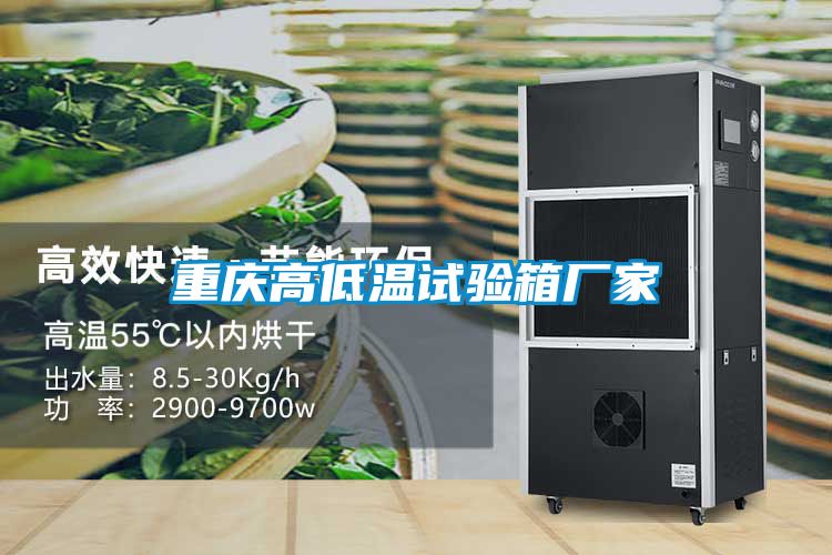 重慶高低溫試驗箱廠家