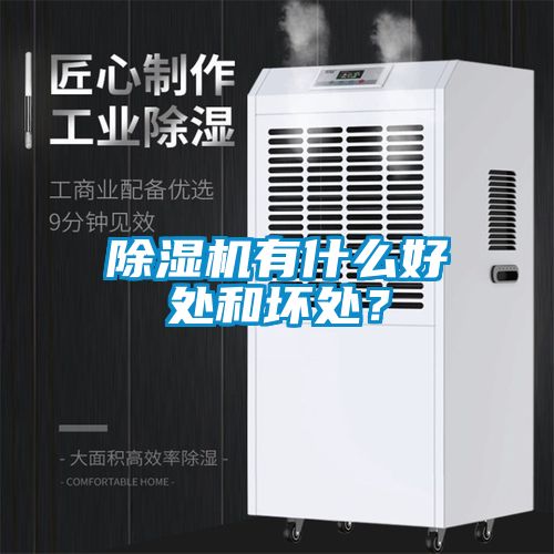 除濕機有什么好處和壞處？