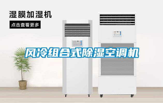 風冷組合式除濕空調(diào)機