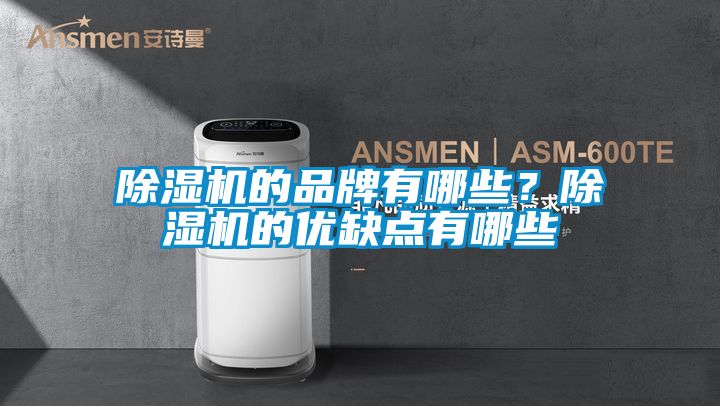 除濕機(jī)的品牌有哪些？除濕機(jī)的優(yōu)缺點(diǎn)有哪些