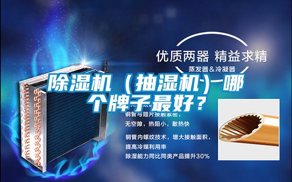 除濕機（抽濕機）哪個牌子最好？