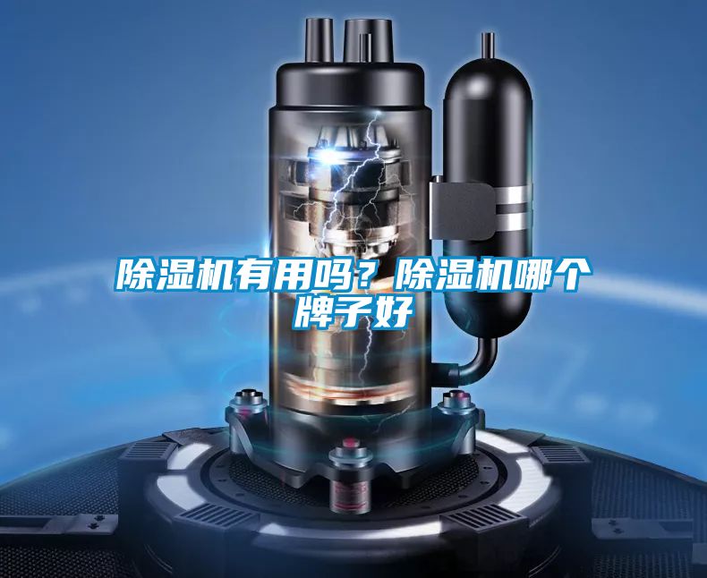 除濕機有用嗎？除濕機哪個牌子好