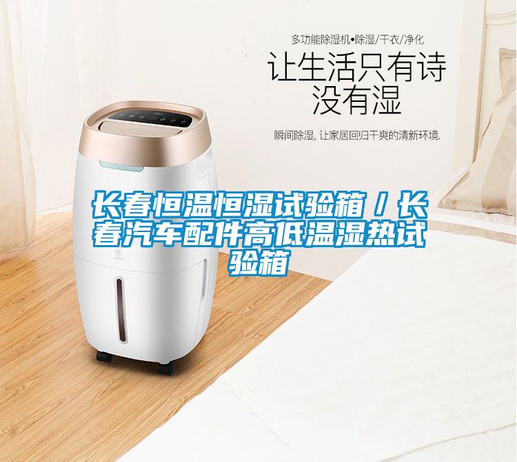 長春恒溫恒濕試驗(yàn)箱／長春汽車配件高低溫濕熱試驗(yàn)箱
