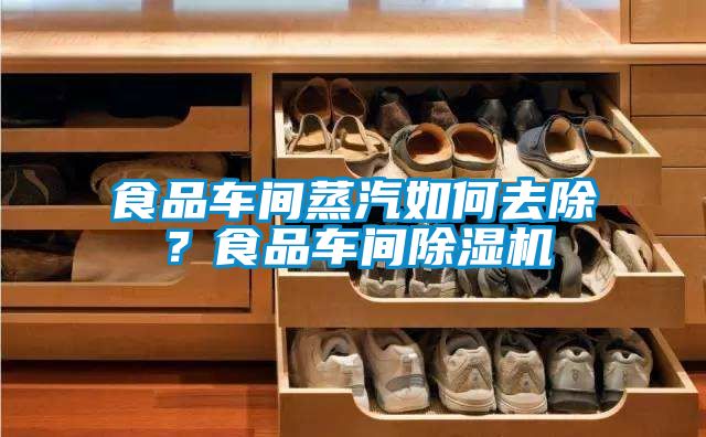 食品車間蒸汽如何去除？食品車間除濕機(jī)
