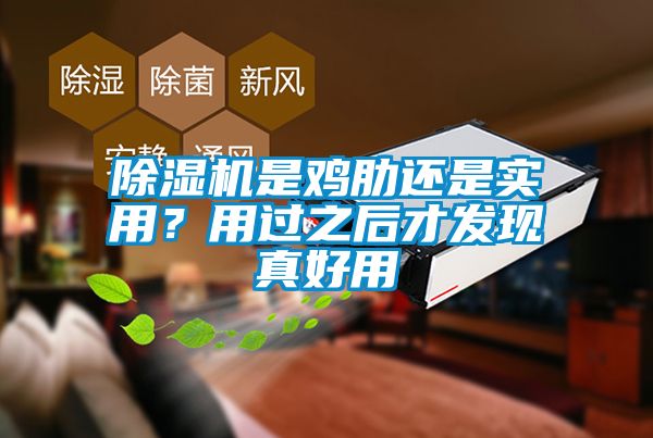 除濕機(jī)是雞肋還是實(shí)用？用過之后才發(fā)現(xiàn)真好用