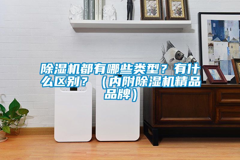 除濕機都有哪些類型？有什么區(qū)別？（內(nèi)附除濕機精品品牌）