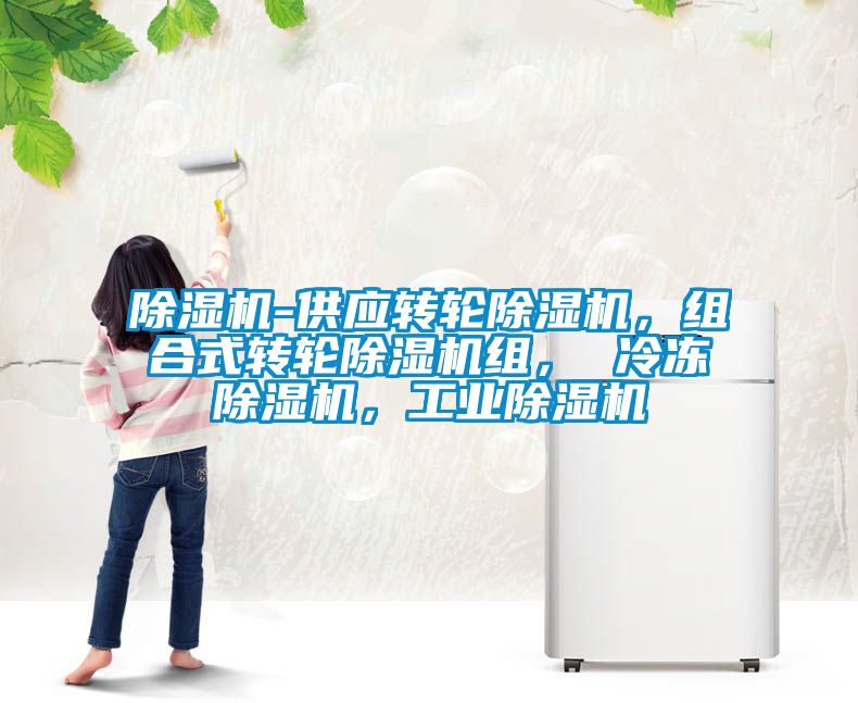 除濕機(jī)-供應(yīng)轉(zhuǎn)輪除濕機(jī)，組合式轉(zhuǎn)輪除濕機(jī)組， 冷凍除濕機(jī)，工業(yè)除濕機(jī)