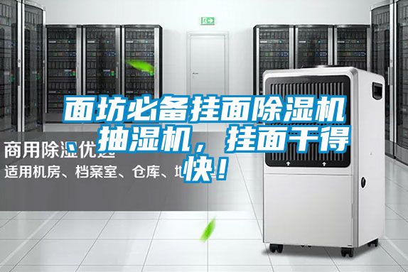 面坊必備掛面除濕機(jī)、抽濕機(jī)，掛面干得快！