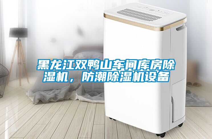 黑龍江雙鴨山車間庫房除濕機(jī)，防潮除濕機(jī)設(shè)備