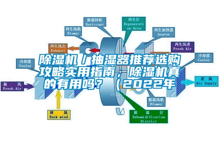 除濕機(jī)／抽濕器推薦選購攻略實(shí)用指南，除濕機(jī)真的有用嗎？（2022年