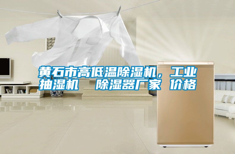黃石市高低溫除濕機(jī)，工業(yè)抽濕機(jī)  除濕器廠家 價(jià)格