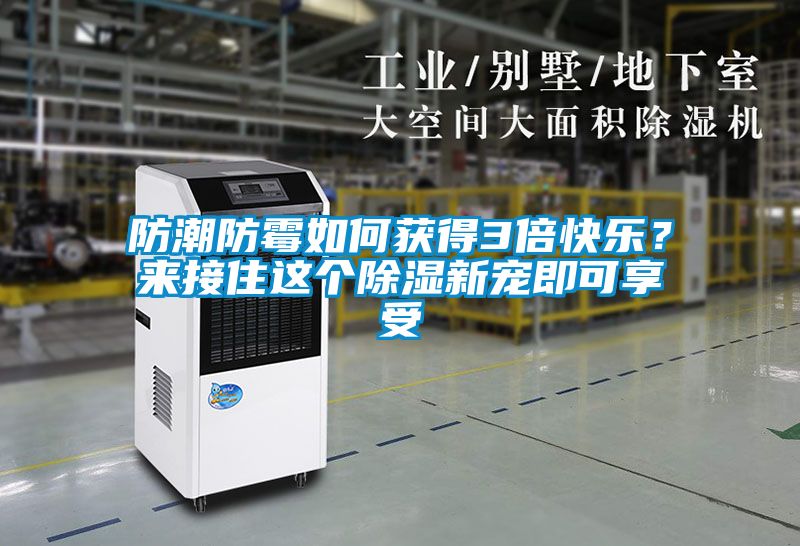 防潮防霉如何獲得3倍快樂？來接住這個(gè)除濕新寵即可享受