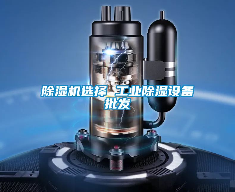 除濕機選擇 工業(yè)除濕設備批發(fā)