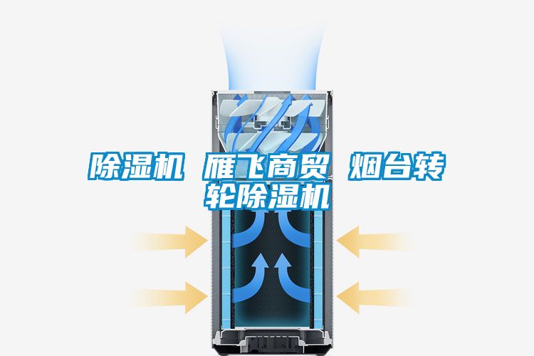 除濕機 雁飛商貿(mào) 煙臺轉(zhuǎn)輪除濕機