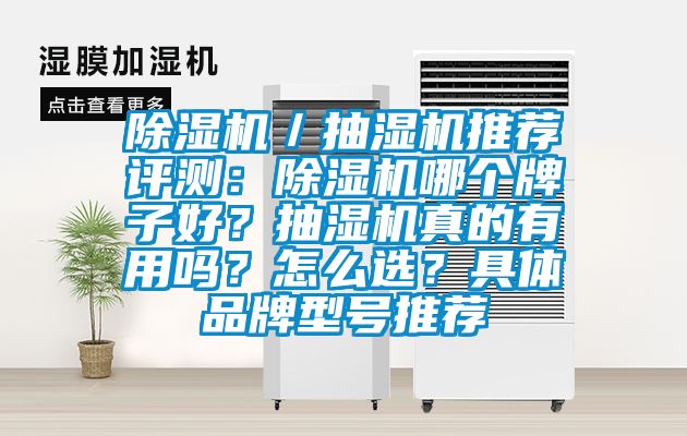 除濕機(jī)／抽濕機(jī)推薦評測：除濕機(jī)哪個(gè)牌子好？抽濕機(jī)真的有用嗎？怎么選？具體品牌型號推薦