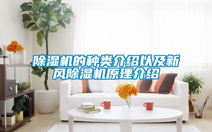 除濕機的種類介紹以及新風除濕機原理介紹