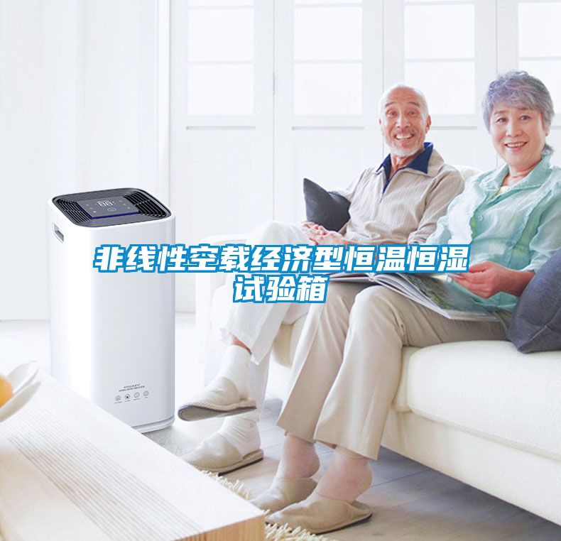 非線性空載經(jīng)濟(jì)型恒溫恒濕試驗(yàn)箱