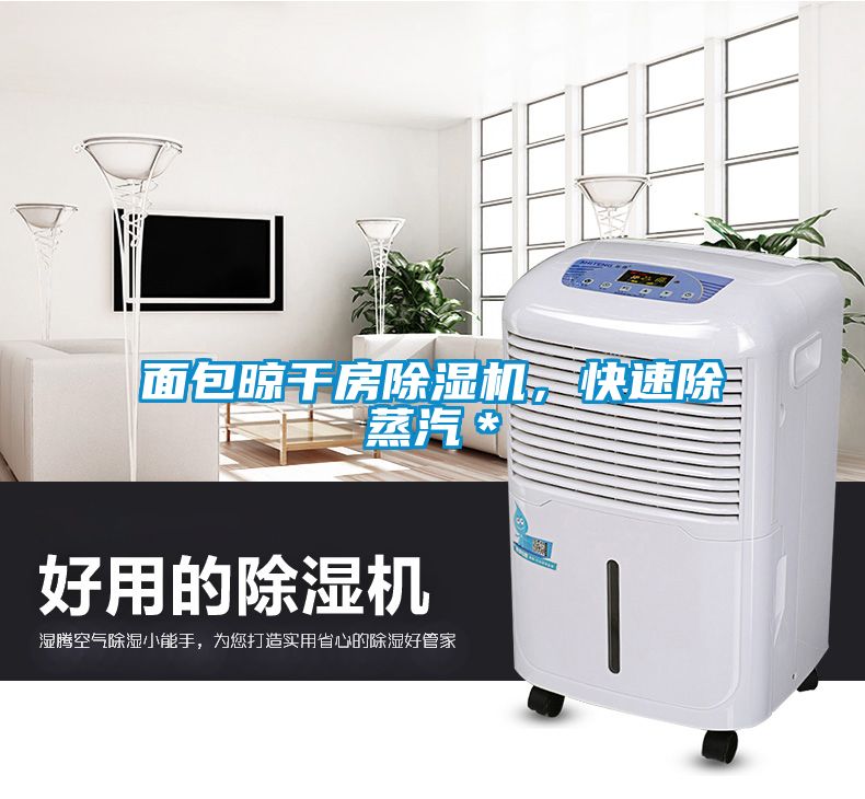 面包晾干房除濕機(jī)，快速除蒸汽＊