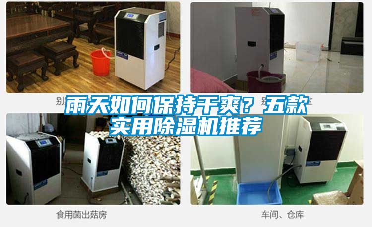 雨天如何保持干爽？五款實(shí)用除濕機(jī)推薦