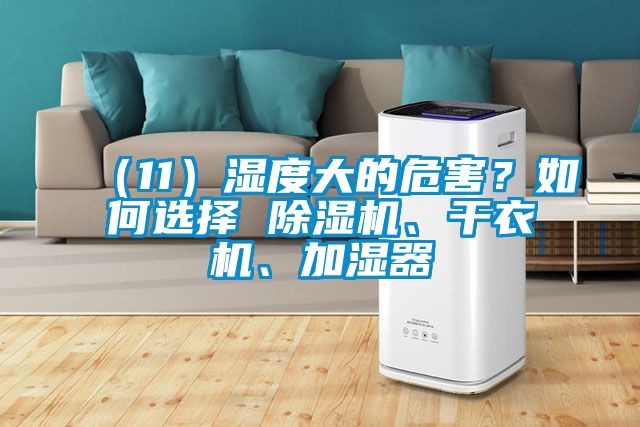 （11）濕度大的危害？如何選擇 除濕機(jī)、干衣機(jī)、加濕器
