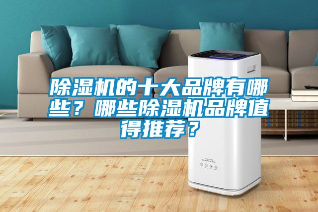 除濕機(jī)的十大品牌有哪些？哪些除濕機(jī)品牌值得推薦？